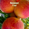 Саженцы персика Радужного 86 - комплект 5 шт.